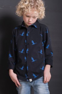 tricot shirt voor jongens met blauw vogel dessin